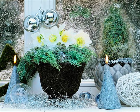 Bild: Winterliche Cake-Topper Dekoration