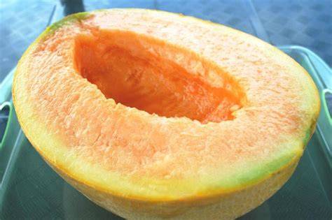 Bild: Yubari-King-Melone im Spitzen-Design, geformt und gepflegt