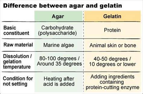 Bindemittel für Kokoscreme: Gelatine vs. Agar Agar
