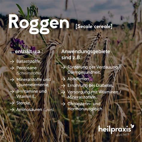 Bio-Abendbrei Zubereitung und Inhaltsstoffe als Übersichtsgrafik