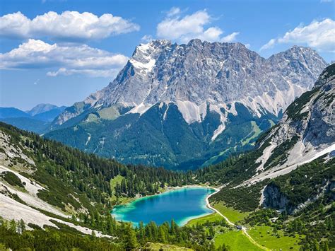 Bio-Milchhof in den Alpen