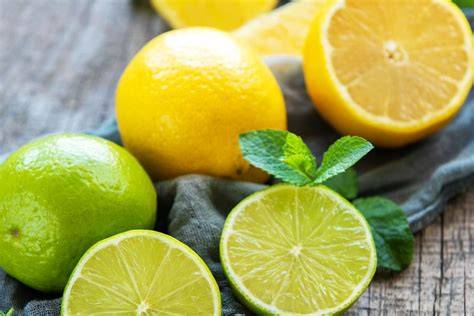 Bio-Orangen, Zitronen und Limetten zum Kandieren