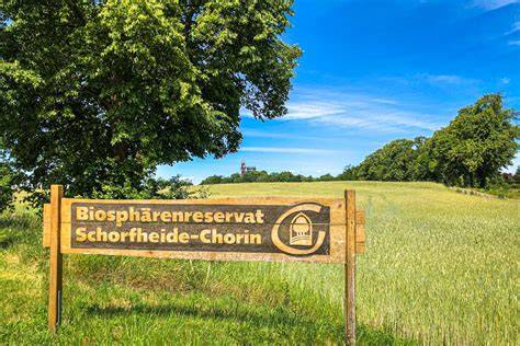 Biologische Milchwirtschaft im Biosphärenreservat Schorfheide-Chorin