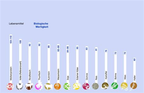 Biologische Wertigkeit von Protein - Vergleich Ei & andere Lebensmittel