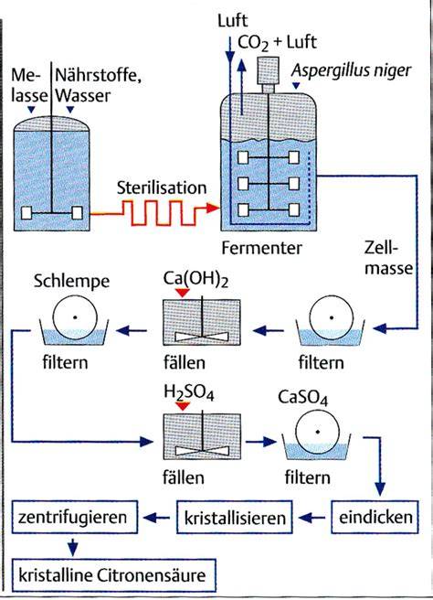 Biotechnologische Produktion von Citronensäure / Fermenter
