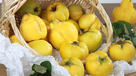 Birnen und Quitten im Korb - frische Zutaten für Marmelade