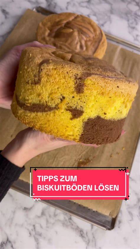 Biskuitböden übereinander geschichtet, bereit zum Füllen