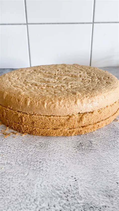 Biskuitboden mit Mulde in der Mitte vor dem Backen