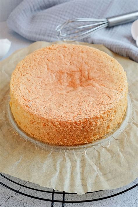 Biskuitboden und Schokosahne-Füllung als Schnittzeichnung