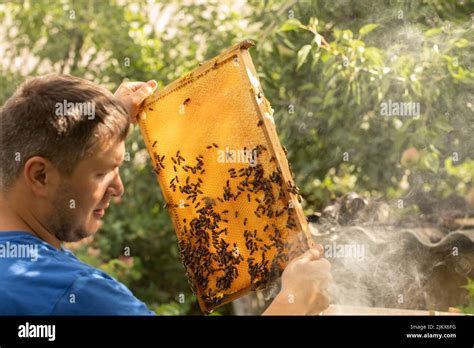 Blütenvielfalt auf Mallorca und die Arbeit der Bienen
