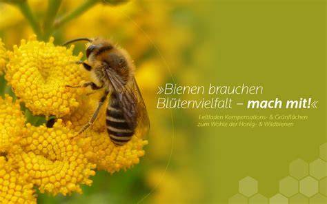 Blütenvielfalt und Honiggewinnung - Bihophar Imkerei