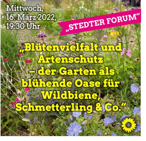 Blütenvielfalt und Trachtpflanzen der Oststeiermark