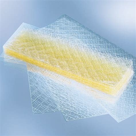 Blattgelatine vs. Pulvergelatine
