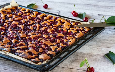 Blechkuchen, hübsch angerichtet für das Büro