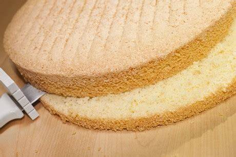 Blechkuchen Biskuitteig