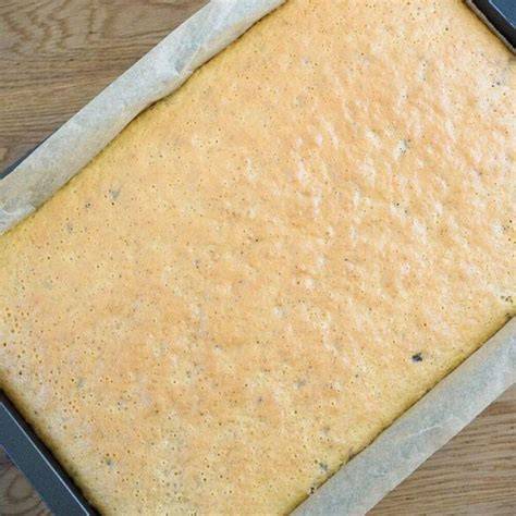 Blechkuchen Schichtung & Zutaten
