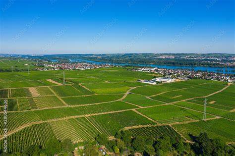 Blick auf Oestrich-Winkel und das Rheingau