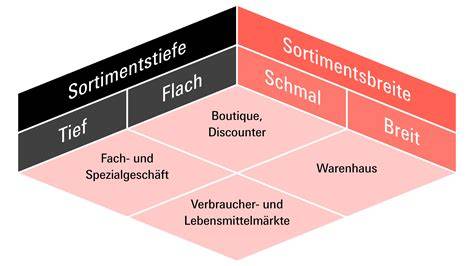 Breites Sortiment an Dessertbehältern im Regal