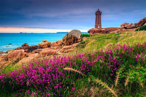 Bretonische Landschaft und Apfelbaum