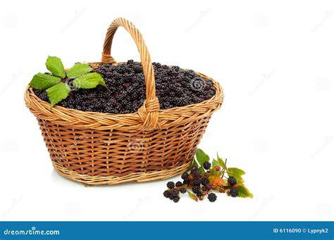 Brombeeren im Korb