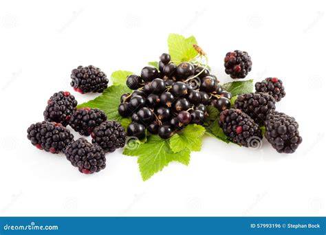 Brombeeren und schwarze Johannisbeeren auf rustikalem Holztisch, Marmeladenglas und Löffel