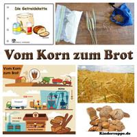 Brotbacken im Kindergarten, vom Korn zum Brot, Produktionskreislauf