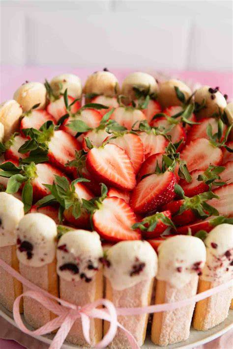 Bunte Varianten der Charlotte Royale Torte mit Löffelbiskuit und Quarkcreme