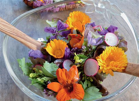 Bunte Vielfalt kandierter Blüten - Inspiration für die kreative Verwendung