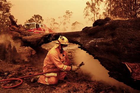 Buschfeuer und Folgen für Tasmaniens Imkerei