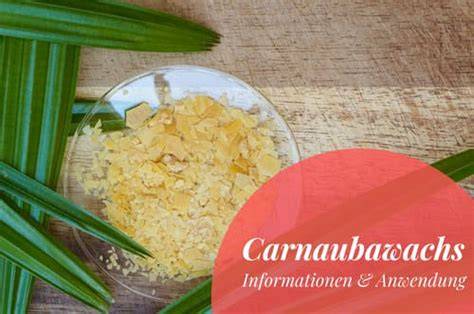 Carnaubapalme und Carnaubawachs