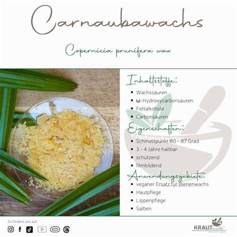 Carnaubawachs Gummiarabicum Symbolik