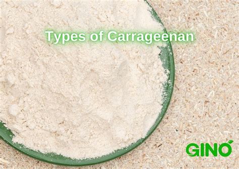Carrageen in Lebensmitteln