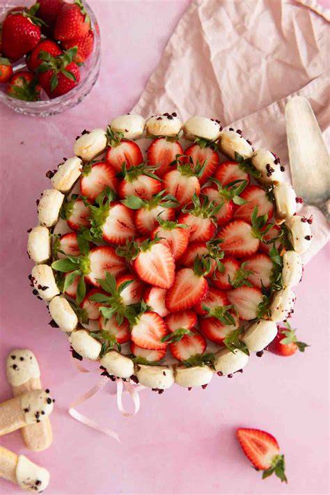 Charlotte Torte mit farbigen Löffelbiskuits umrandet