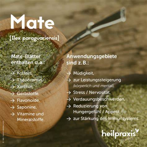 Checkliste Qualitätsmerkmale beim Kauf von Mate Tee