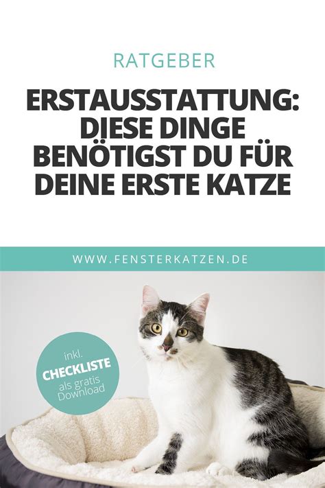 Checkliste Sofortmaßnahmen bei Schokoladenvergiftung Katze