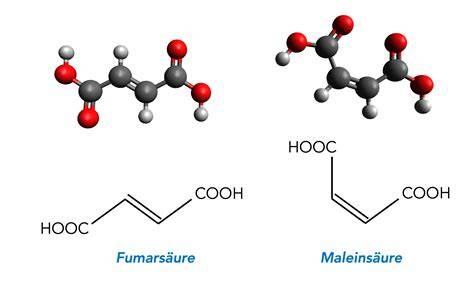 Chemische Struktur und Funktion von Fumarsäure in Lebensmitteln