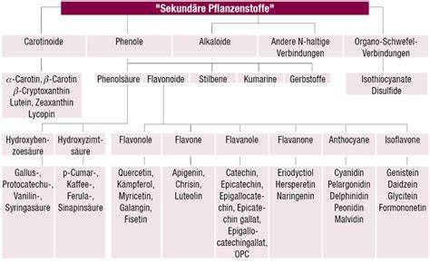 Chemische Strukturen der wichtigen Inhaltsstoffe: Flavanole, Polyphenole, Curcumin