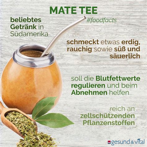 Chemische Zusammensetzung und gesundheitliche Wirkungen von Mate Tee (Schaubild)