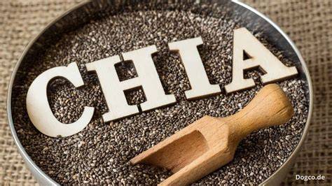 Chia-Samen Risikofaktoren, Allergien