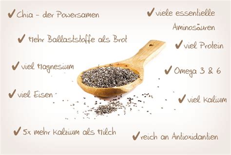 Chia-Samen und ihre Nährstoffzusammensetzung