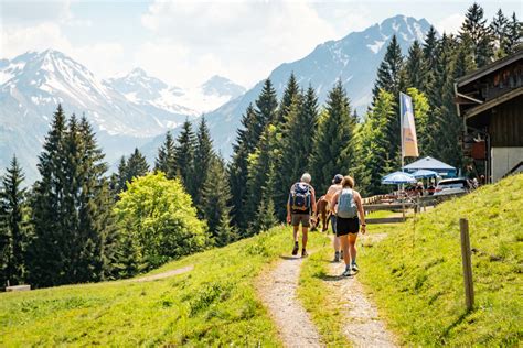 Chihuahua Familie auf Wanderung - Begleiter im Alltag