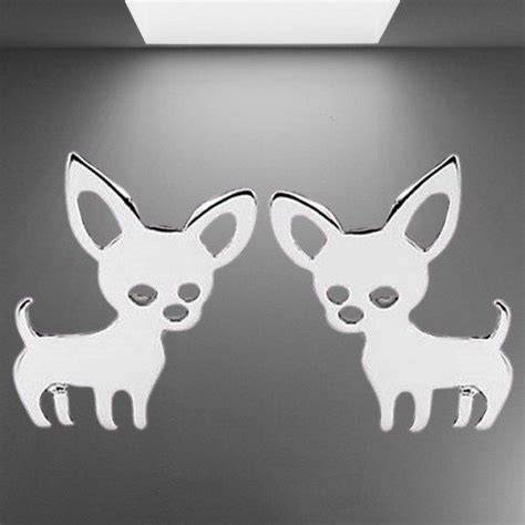 Chihuahua Pflegehinweise für den Alltag