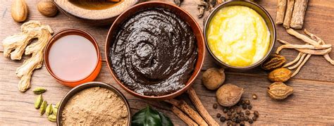 Chyawanprash als ayurvedisches Rasayana-Tonikum