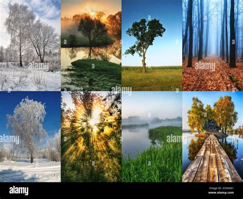 Collage: Saisonale Dr. Oetker Torten - Frühling, Sommer, Herbst, Winter