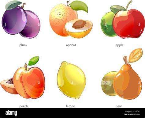 Collage mit Obstbeschreibungen: Apfel, Aprikose, Pflaume