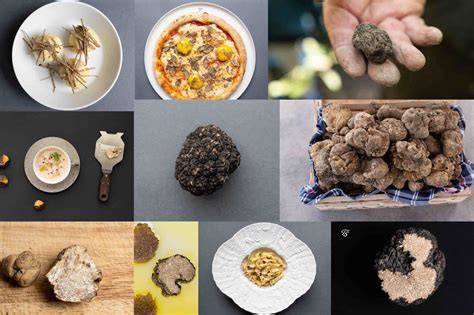 Collage mit Trüffelgerichte