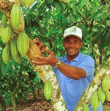 Cooperative Conacado Dominikanische Republik Fairtrade