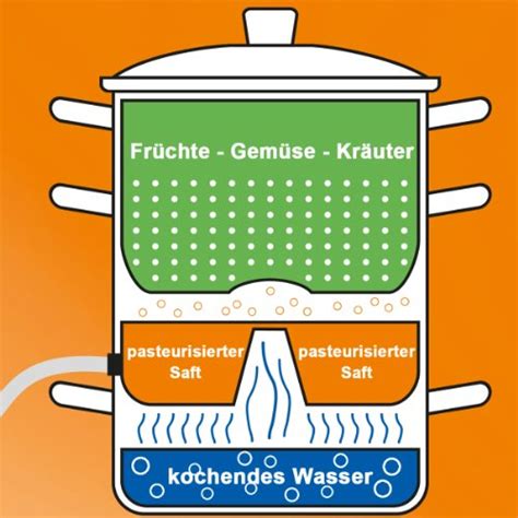 Dampfentsafter Aufbau und Funktionsweise