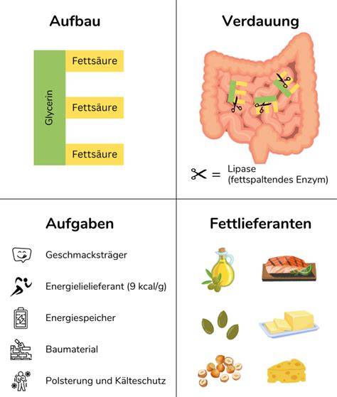Darstellung: Technologische Aufgaben und Herkunft von Lecithin im Müsli