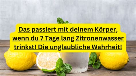 Darstellung Verdauungssystem und Wirkung von Zitronenwasser